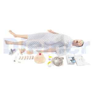 Manikin Nursing Manikin Nursing Anne Basic
